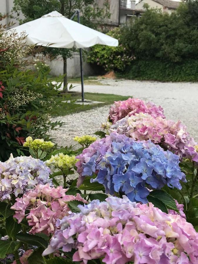 Gina & Jeto Villa Farra di Soligo Bagian luar foto