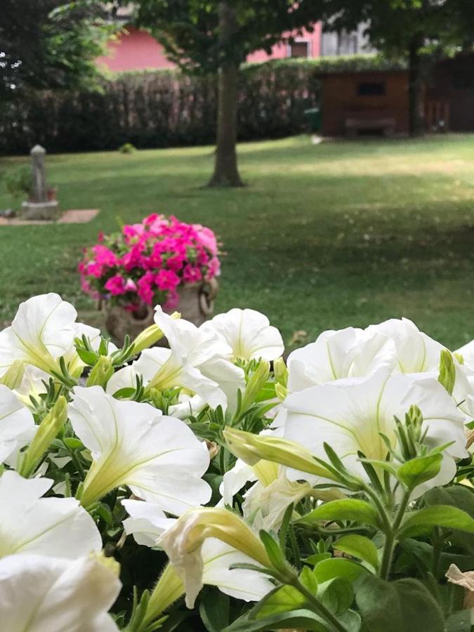Gina & Jeto Villa Farra di Soligo Bagian luar foto