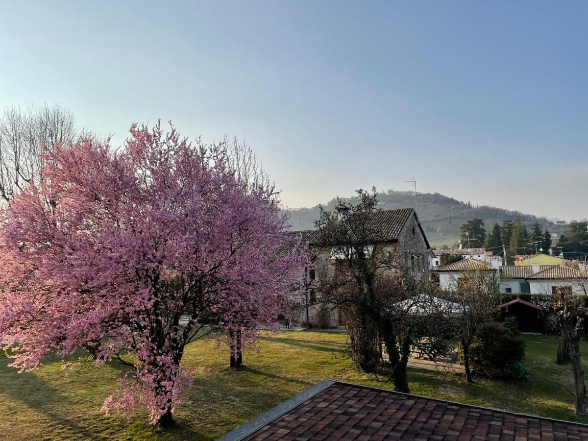 Gina & Jeto Villa Farra di Soligo Bagian luar foto