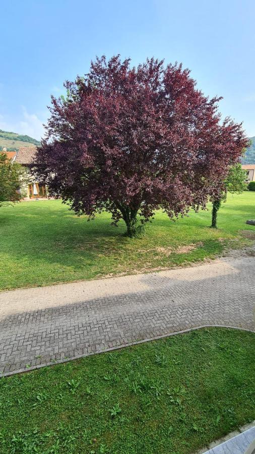 Gina & Jeto Villa Farra di Soligo Bagian luar foto